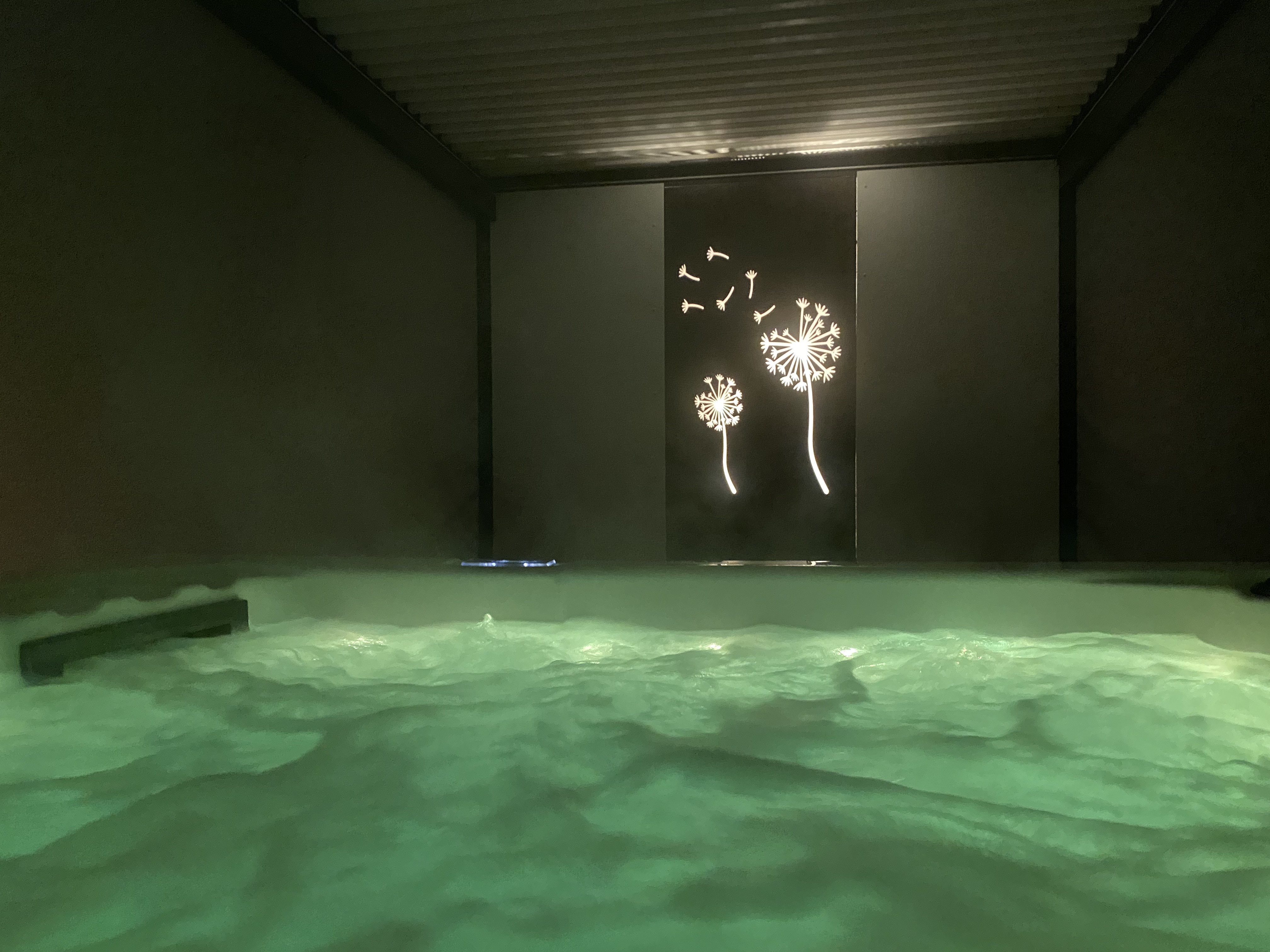 Aménagement d'un espace détente avec spa