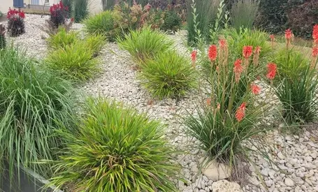 création terrasse à Pleumeur-Bodou - image 3