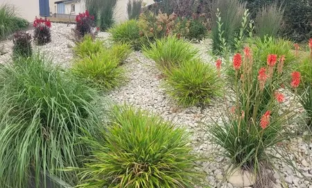 création terrasse à Ploumilliau - image 3