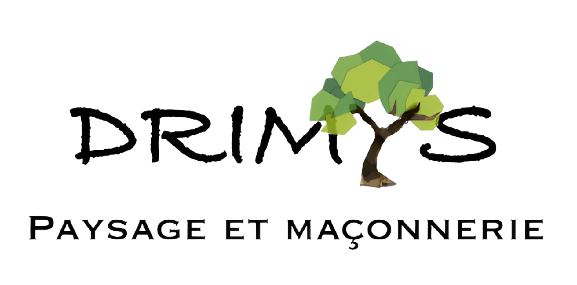 logo-DRIMYS