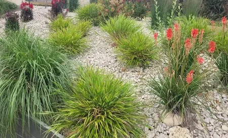 entretien de jardin à Lannion - image 2