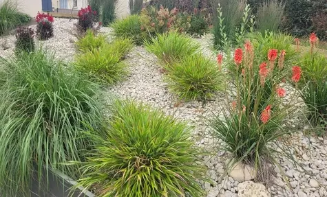 entretien de jardin à Perros-Guirec - image 2