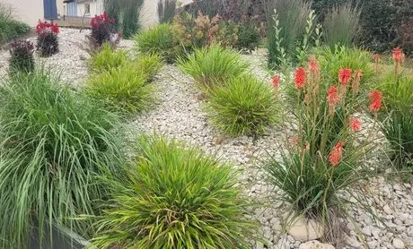 entretien de jardin Plestin-les-Grèves-5