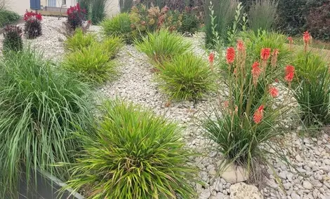 entretien de jardin à Pleumeur-Bodou - image 4