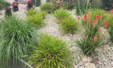entretien de jardin à Plouaret - image 3