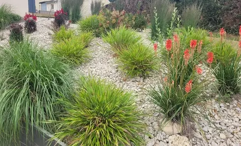 entretien de jardin à Ploubezre - image 4